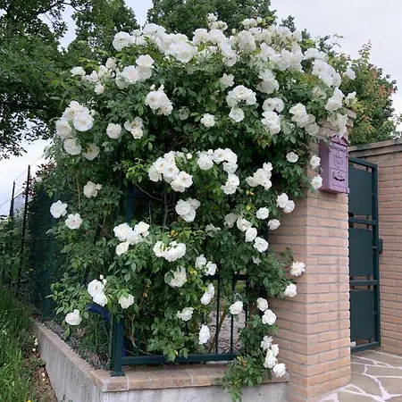 Casa Vacanze Le More * Valfabbrica