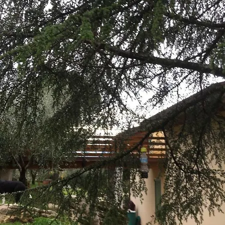 بيت للعطل Casa Vacanze Le More Valfabbrica