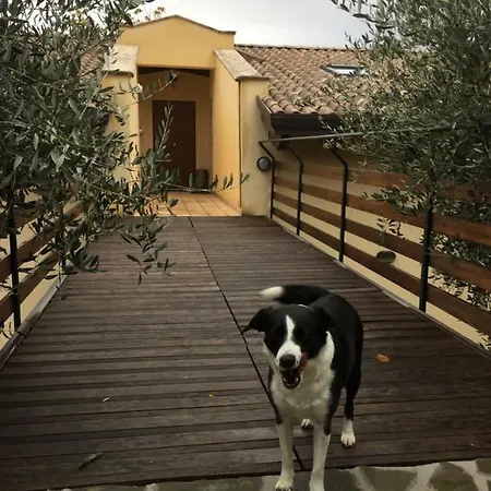 Casa Vacanze Le More بيت للعطل