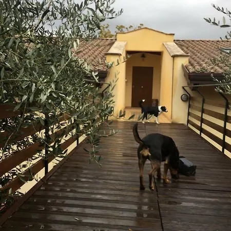 بيت للعطل Casa Vacanze Le More Valfabbrica